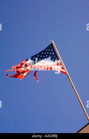 Zerrissen und zerfetzt durch Wind, die amerikanische Flagge von der Pole auf Gebäude fliegt Stockfoto