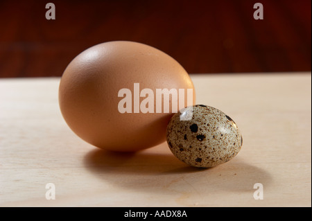 Huhn und gemeinsame Wachteleier Stockfoto