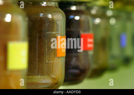 Farbe-Gläser Stockfoto