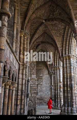 Eine Frau in rot bewundern das Gewölbe im zerstörten Hauptschiff des 12. und 13. Jahrhunderts Holyrood Abbey, Edinburgh Schottland Stockfoto