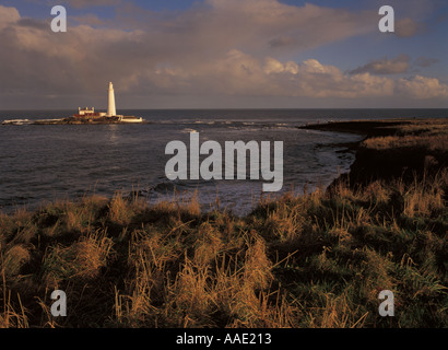 ENGLAND Tyne Verschleiß St Marys Insel das beliebte Wahrzeichen der Leuchtturm nur bei Ebbe zu Fuss erreichbar Stockfoto