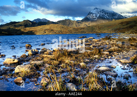 GRIB Goch bedeckt im Snowdonia National Park angesehen vom Cwmffynnon-See im Winter Schnee Stockfoto