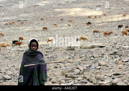 Hirtenjunge und seine Schafe lebt ganzjährig am Fuße des Ras Daschen (über 4000 m) Simien Mountains Nationalpark, Ethiopi Stockfoto