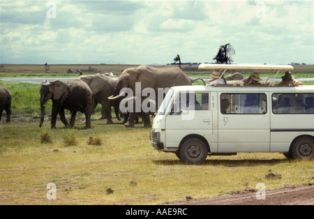 Weißen Kleinbus mit Pop-up-Dach in der Nähe von Elefanten im Amboseli Nationalpark Kenia in Ostafrika Stockfoto