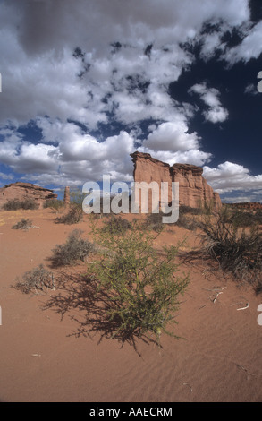 Spektakuläre Felsformationen aus rotem Sandstein und brea Bush (parkinsonia Beurre, ehemals Cercidium Beurre), Talampaya Nationalpark, Argentinien Stockfoto