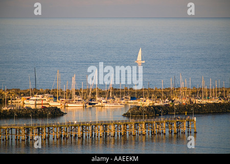 Boote in der Marina, Coffs Harbour, Ostküste NSW, Australien Stockfoto