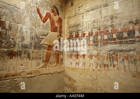 Feine Farben zeigen nach wie vor in einer Mastaba in der Nekropole von Sakkara, Ägypten Stockfoto