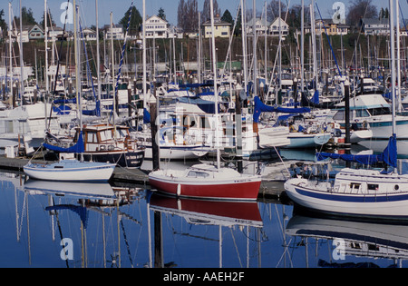 Boote in Squalicum Hafen Bellingham, Washington Stockfoto
