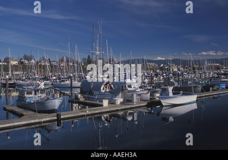 Boote in Squalicum Hafen Bellingham, Washington Stockfoto