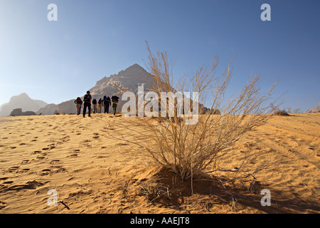 Wanderer in der Wüste Wadi Rum Protected Area Jordan Stockfoto