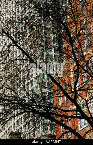 Mittelpunkt, Büroturm und angrenzenden roten Backsteingebäude angesehen aber Baum Zweige London England Stockfoto