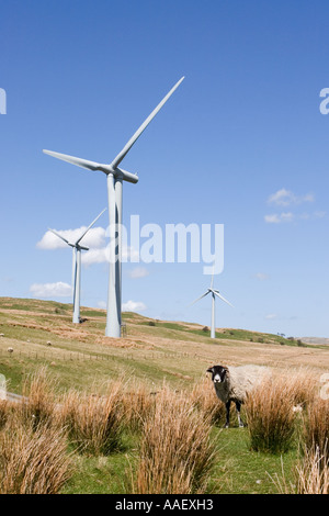 Die Stromerzeugung aus erneuerbaren Energiequellen; drei Windkraftanlagen Windkraftanlage im Windpark auf Lambrigg fiel, Tabay, Cumbria, Großbritannien Stockfoto