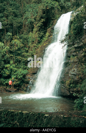 Touristen stehen in der Nähe der Cascades de Riana Ranomafana Nationalpark Zentralmadagaskar Stockfoto