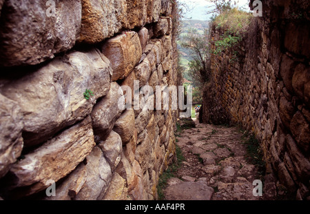 Ruinen der Festung von Kuelap Peru Stockfoto