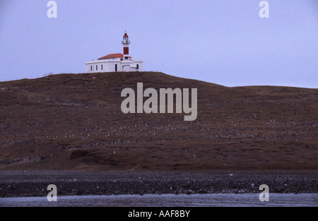 Leuchtturm Isla Magdalena Chile Stockfoto