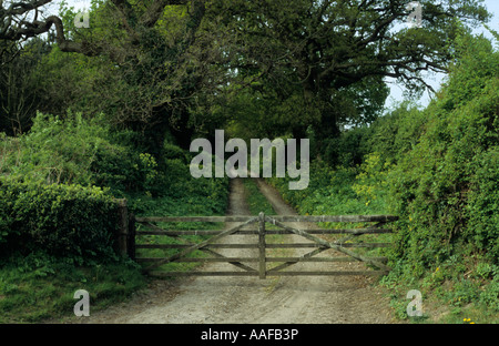 Feldweg auf Benacre Anwesen im Frühjahr in Suffolk Uk Stockfoto