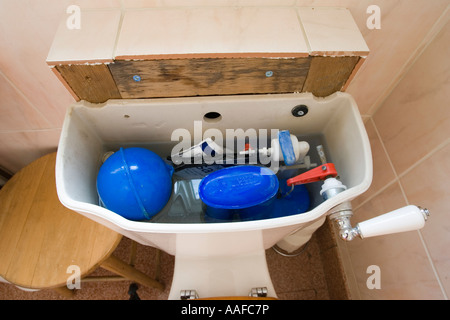 Wasser Nilpferd Severn Trent Saveaflush Taschen im Spülkasten UK Stockfoto