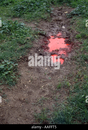 Pool von roter Farbe im Feld Stockfoto