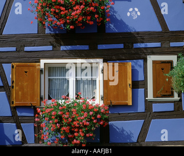 Fenster mit Blumen in einem Fachwerkhaus Stockfoto