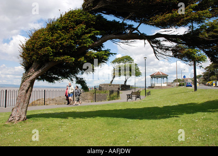 Wind fegte Bäume an Strandpromenade, Clevedon, Somerset, England, UK Stockfoto