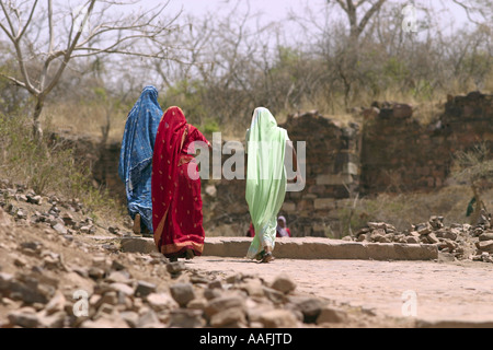 HPA78583 drei indischen Damen Rückseite Rückansicht tragen Sarees Sari blau rot grün Ranthambhore Rajasthan Indien Stockfoto