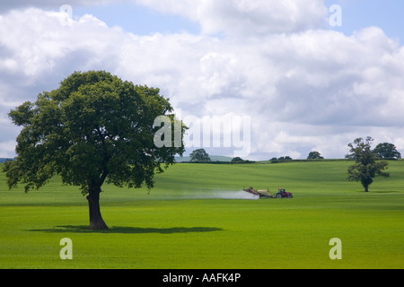 Bauernhof Traktor sprühen Insektizid auf grünen Wiesen der englischen Landschaft im Sommersonne in der Nähe von Lyth Hill Shropshire England UK GB Stockfoto