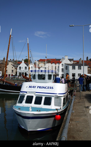 Prinzessin von Anstruther Harbour, Fife, Schottland Europa für Bootsfahrten auf der Isle of May Segeln kann Stockfoto