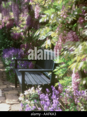 Gartenbank in einer Pergola blühende Glyzinie Stockfoto