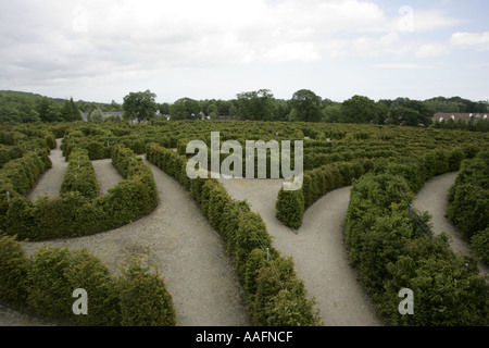 Der Frieden Labyrinth Castlewellan Waldpark Grafschaft, Nord-Irland Stockfoto