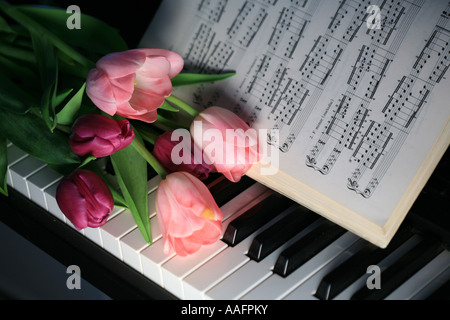 Ein Bouquet von rosa und lila Tulpen auf Klaviertastatur mit Noten Stockfoto