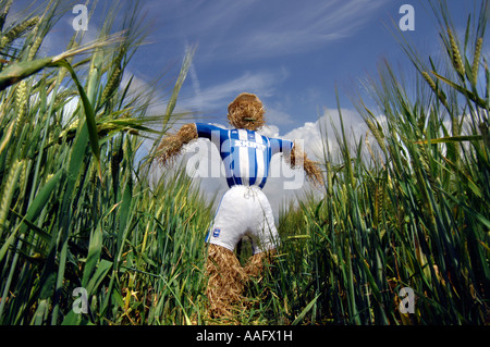 Eine Vogelscheuche in Brighton und Hove Albion Football Club Strip an der Seite des neuen Stadions in Falmer gekleidet Stockfoto