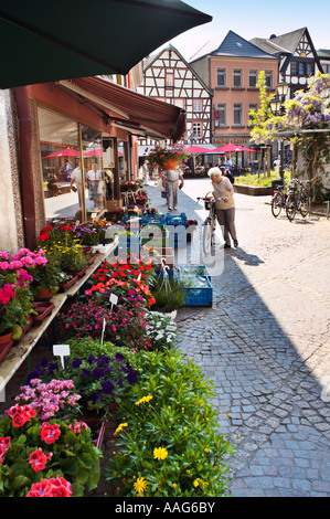 Blumenladen auf dem Marktplatz in Ahrweiler, Deutschland, Europa Stockfoto