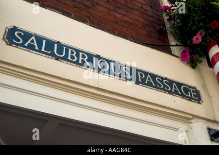 Melden Sie für heilsame Passage eine Gasse in Swansea in Wales Großbritannien Stockfoto