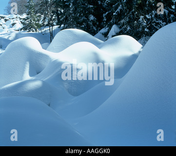 Vitosha Berg, Sofia, Bulgarien, Moräne Stockfoto