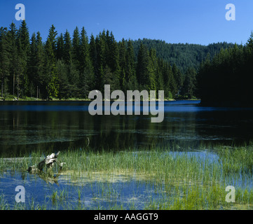 Shiroka polyana-Staudamm, Rhodopi-Gebirge, gescannt von Folie 6/7, Bulgarien, Balkan Stockfoto