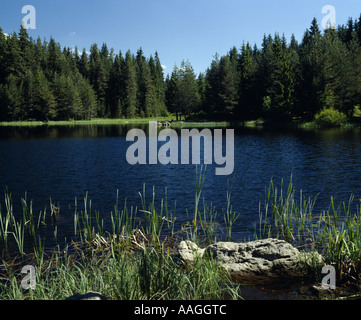 Shiroka polyana-Staudamm, Rhodopi-Gebirge, gescannt von Folie 6/7, Bulgarien, Balkan Stockfoto