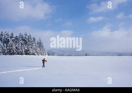 Langlaufen in zweiten Connecticut Lake nördlichen Wald Winter Sport Pittsburg NH Stockfoto