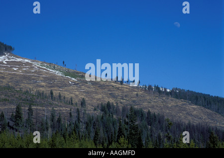 Yaak Tal MT Kahlschlägen in Montana s Kootenai National Forest Stockfoto