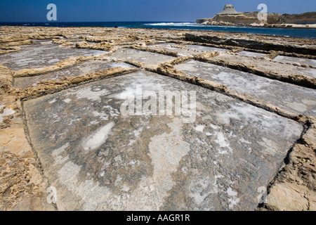 Salinen bei Qbaijar in der Nähe von Marsalforn auf der Insel Gozo in Malta. Stockfoto