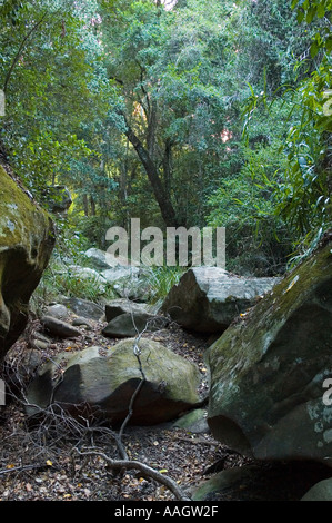 Cania Schlucht central Queensland Australien 3376 Stockfoto