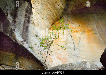 Cania Schlucht central Queensland Australien 3418 Stockfoto