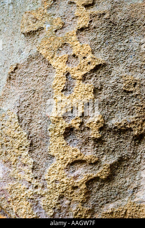 Cania Schlucht central Queensland Australien 3431 Stockfoto