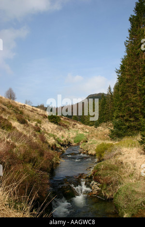 Der Fluss Severn in der Hafeen Wald-Wales Stockfoto