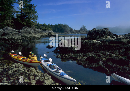 Seekajaks in kleinen kanadischen Bucht Stockfoto