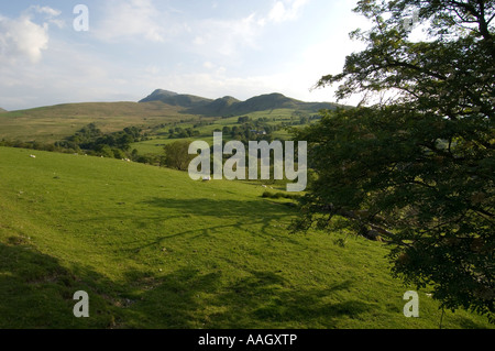 Aran Fawddwy + Aran Benllyn Berge gesehen von Cwm Cynllwyd Tal Sommerabend, walisische Landschaft im ländlichen Raum, Wales UK Stockfoto