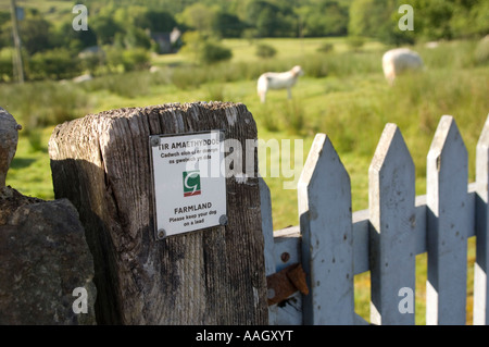 Gwynedd Grafschaftsrat Ackerland Bekanntmachung über Zaunpfosten, Leute, Hunde an der Leine zu halten, beim gehen in der Nähe von Schafen zu Fragen; Wales UK Stockfoto