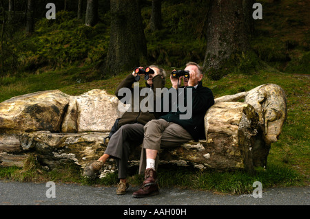 zwei Menschen, die Vögel durch ein Fernglas betrachten Nant yr Arian Waldpark Ponterwyd in der Nähe von Aberystwyth Wales UK Stockfoto