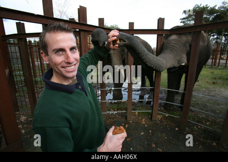 Safaripark Beekse Bergen ist ein offener Zoo, wo Tiere frei außerhalb redaktionelle Nutzung nur keine negativen Schlagzeilen laufen Stockfoto