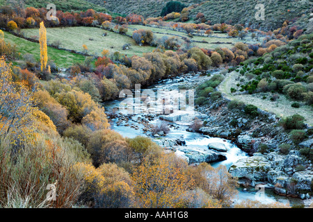 Quelle des Flusses Cuervo. Alta Serranía. Cuenca. Spanien Stockfoto