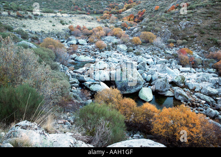 Quelle des Flusses Cuervo. Alta Serranía. Cuenca. Spanien Stockfoto